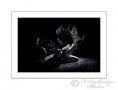 /album/kepgaleria-18-referencia/a08-jpg/